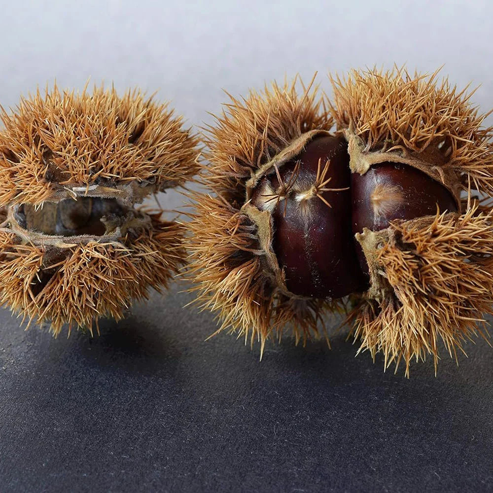 Κάστανα Ολόκληρα Παρασκευασμένα Σε Κενό Αέρος Ponthier Marrons Entiers Cuita Sous Vide 200g